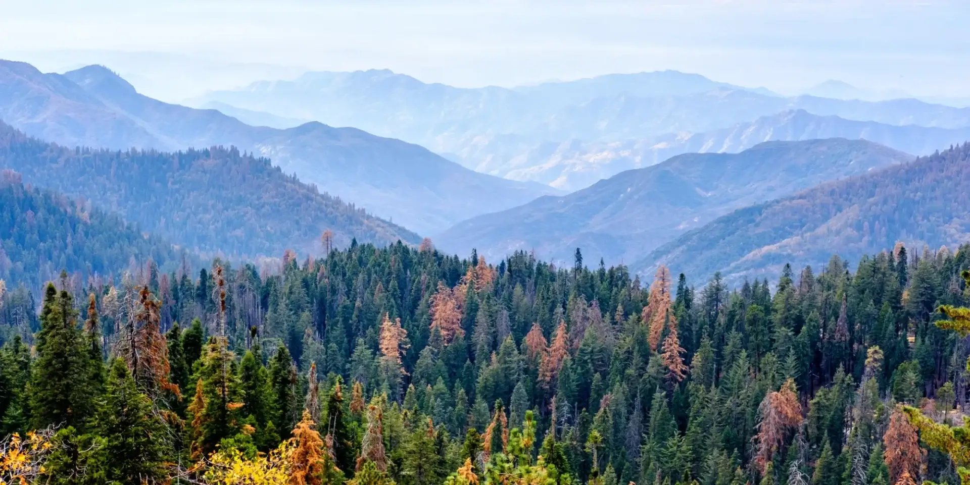 Mountain range with forested hills and distant peaks under a clear sky.